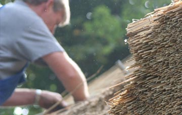 professional Dringhouses thatchers