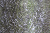 Dringhouses fibreglass roof work